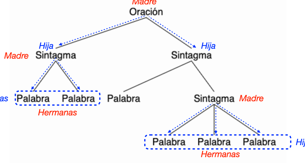 la sintaxis reglas basicas y estructuras de las oraciones