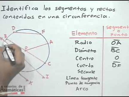 las partes de la circunferencia que todo matematico debe saber