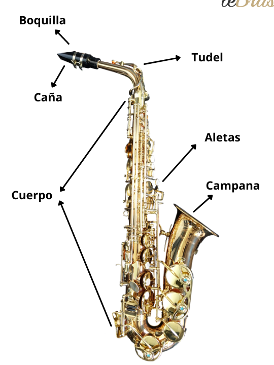 las partes del saxofon que todo saxofonista debe conocer