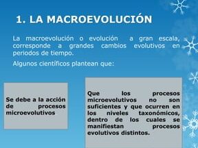 microevolucion vs macroevolucion entiende sus diferencias