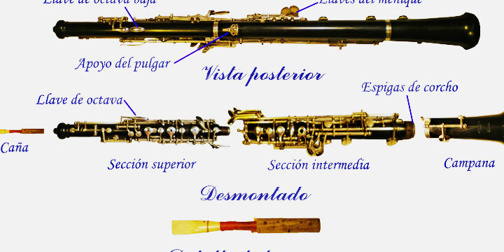 oboe historia y descubre todas sus partes