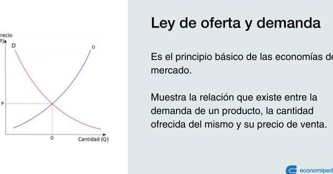 oferta y demanda ley fundamental