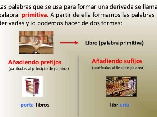 palabras derivadas de libro ejemplos que inspiran