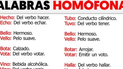 palabras homografas definicion y ejemplos para clarificar