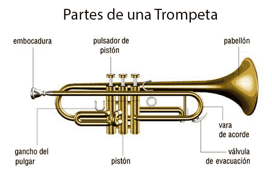 partes de la trompeta un viaje por los elementos de este instrumento de viento