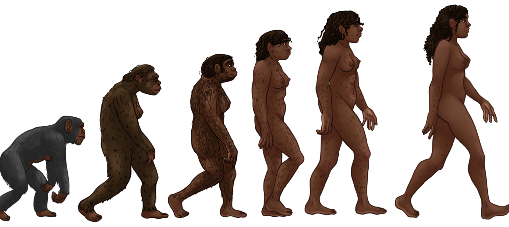 evolucion del hombre un resumen desde el pasado hasta hoy