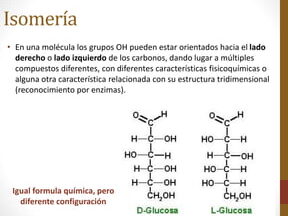 isomeros de los glucidos como afectan la quimica de los azucares