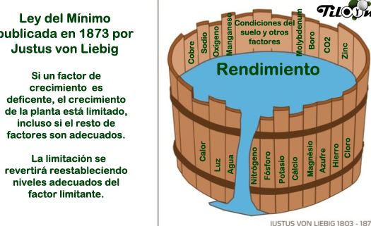 ley del maximo y del minimo explicacion sencilla