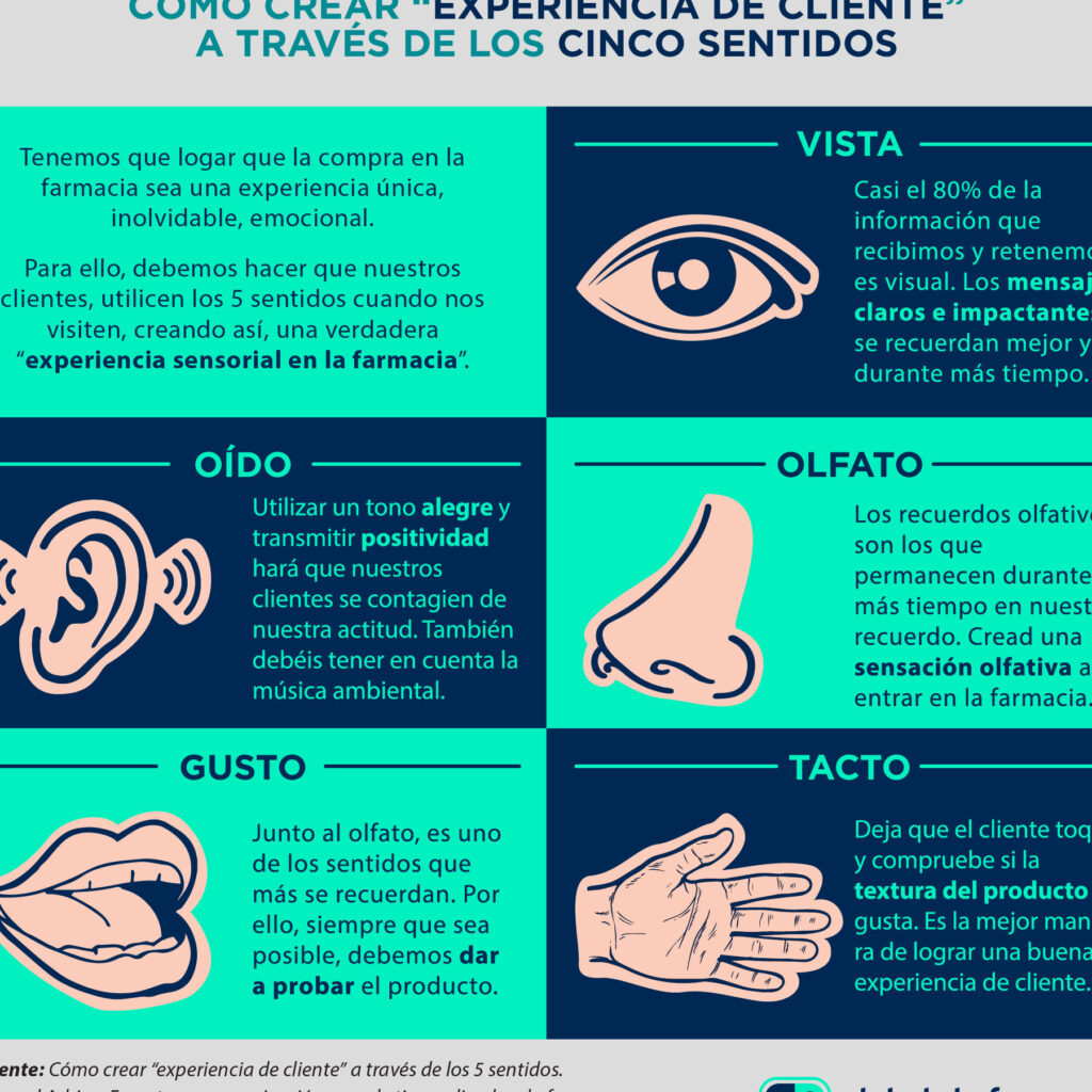 los cinco sentidos del ser humano funciones y curiosidades