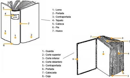 libro diferencia entre sus partes externas e internas